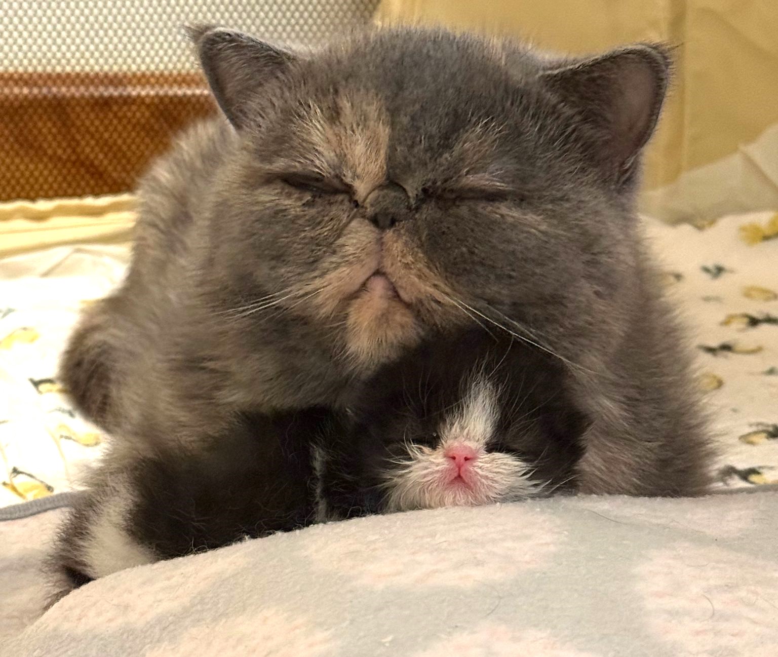 Tatyana & 12-day-old Tara